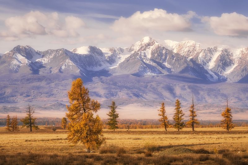 На окраине Кураяphoto preview