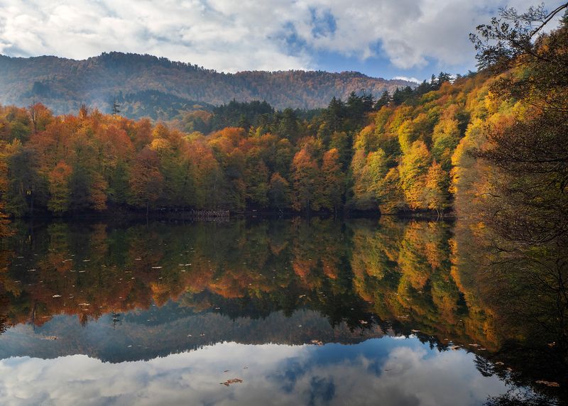 Reflectionphoto preview