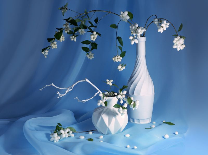 Ноябрьский натюрморт со снежноягодникомphoto preview