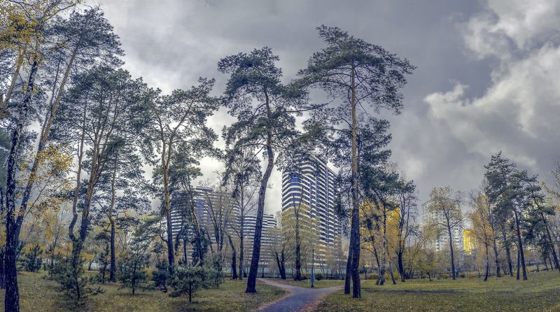 near by Novemberphoto preview