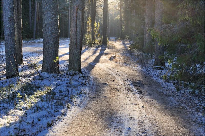 По ноябрюphoto preview