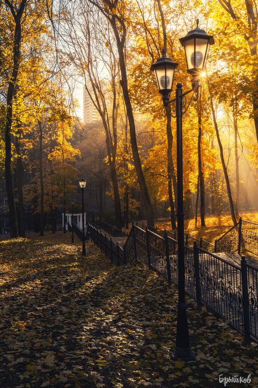 Платоновский парк. Тула. Октябрь.photo preview