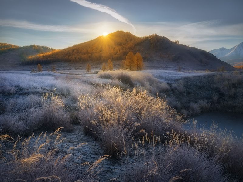 Согреваясь первыми лучамиphoto preview