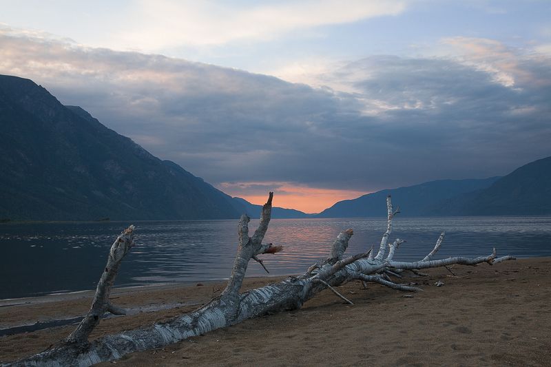 алтай, телецкое озеро. Алтай. Вечер Телецкого озера.photo preview