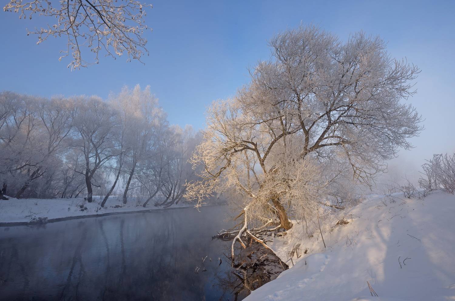 зима, свислочь, мороз, Александр Гвоздь