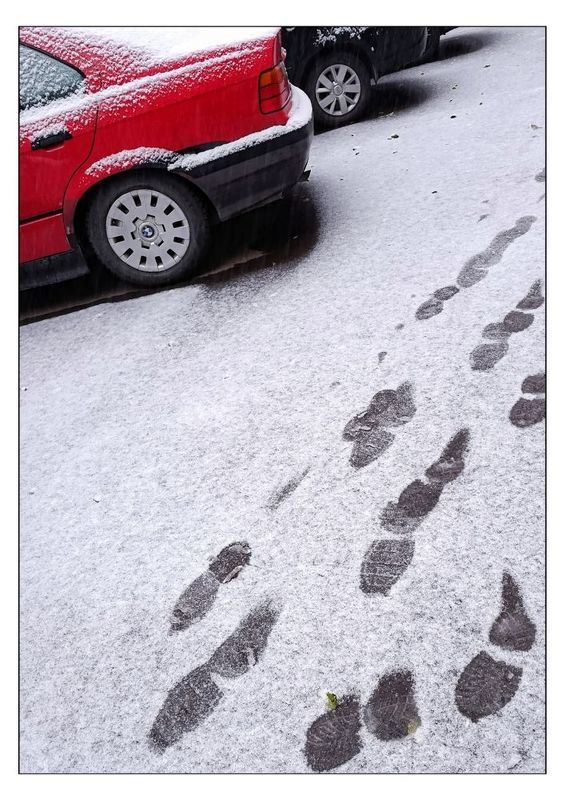 красный след новой зимы photo preview