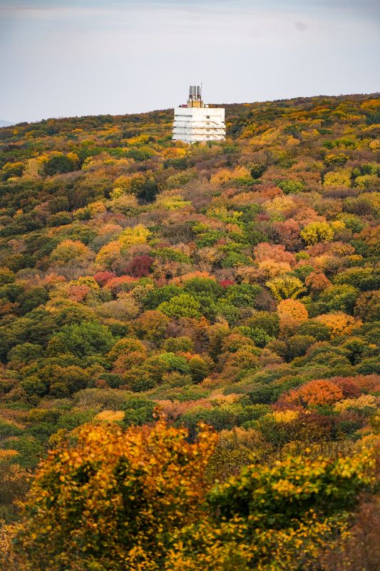 осень, золотая осень, Железноводск Цветной ковер Железноводскаphoto preview