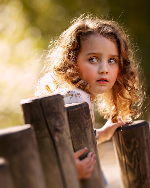 Observandophoto preview