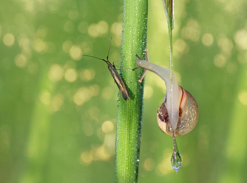 *Хочу напоить тебя чистой водой...photo preview