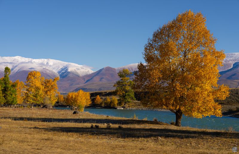 алтай Чуйские краскиphoto preview