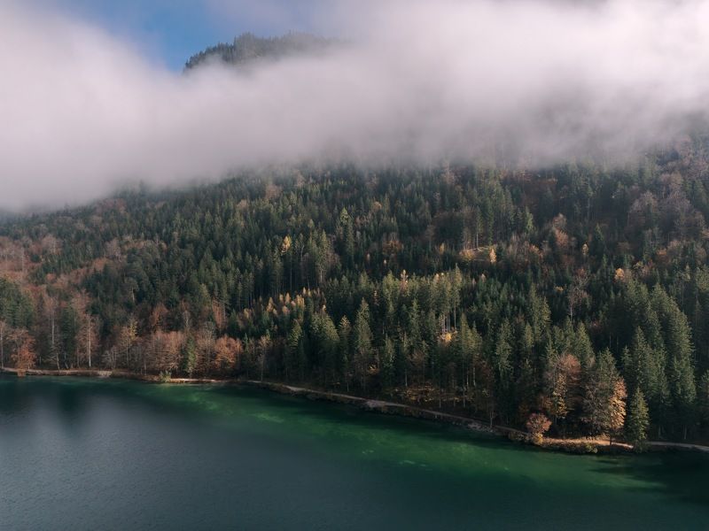 Под пеленой туманаphoto preview