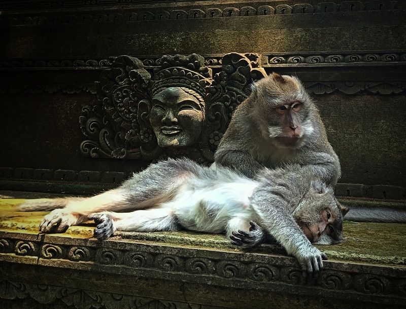 Трое.photo preview