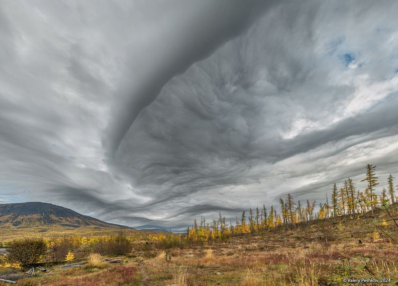 плато путорана, осень, облака, необычные облака, лиственницы, курейка, таймыр, заполярье, база коваля, владимир коваль Кажется, дождь собирается?)photo preview