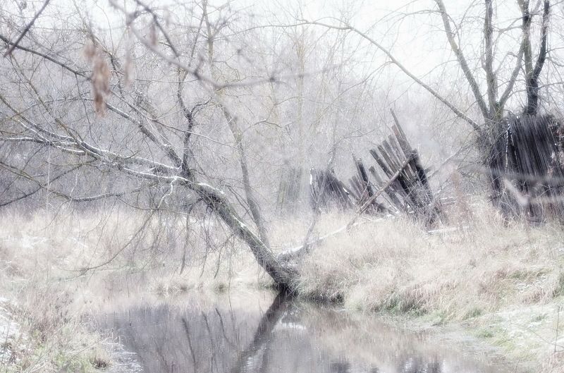 Прогулка по реке...photo preview