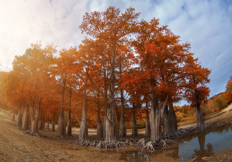 Кипарисовое озеро,Сукко,Анапаphoto preview