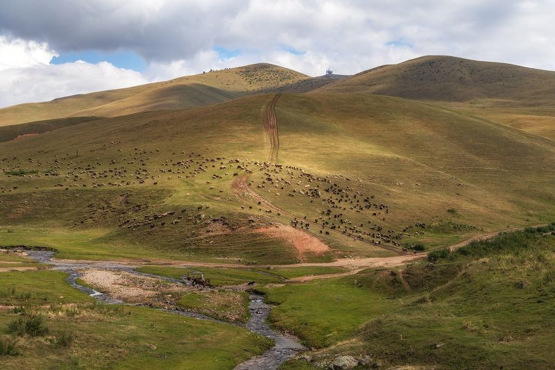 Плато Ассыphoto preview