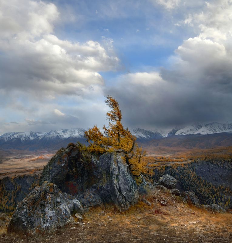 алтай, осень,  горы,  северо-чуйский хребет Осенний Алтайphoto preview