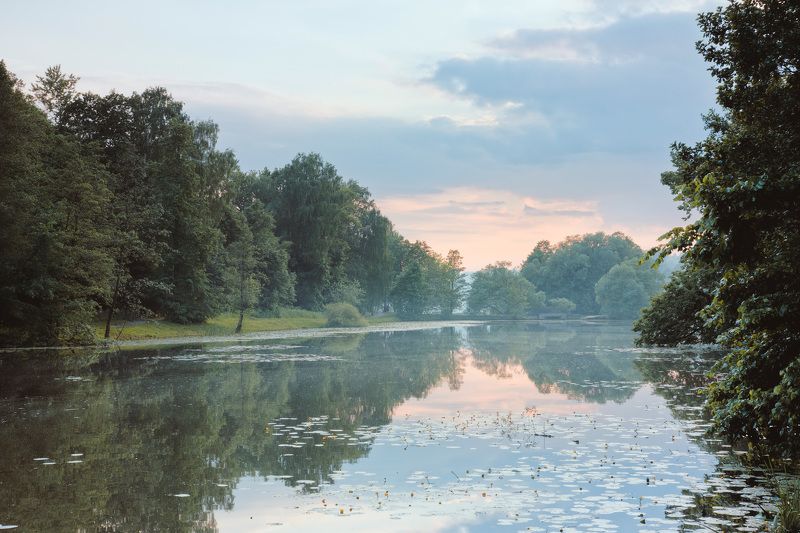 пруд, деревья, закат, отражения В парке фото превью