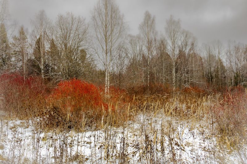 Ноябрьphoto preview