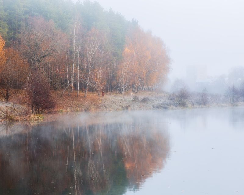 пейзаж, осень, золотая осень, природа, туман, отражение, Московская область, октябрь Осеннее забвение фото превью
