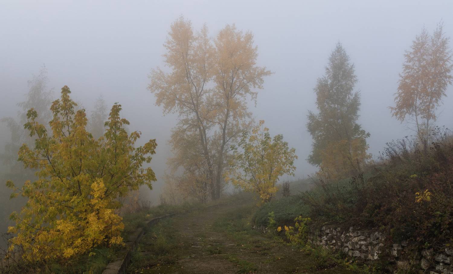 утро осень туман, Колесов Андрей