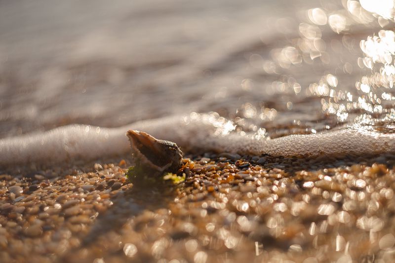Истории осеннего побережья. фото превью