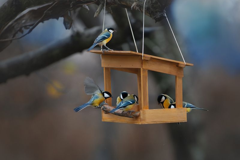 Завтракphoto preview