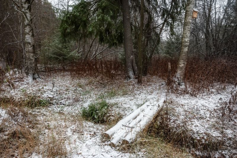 лес, первый снег Мостикphoto preview