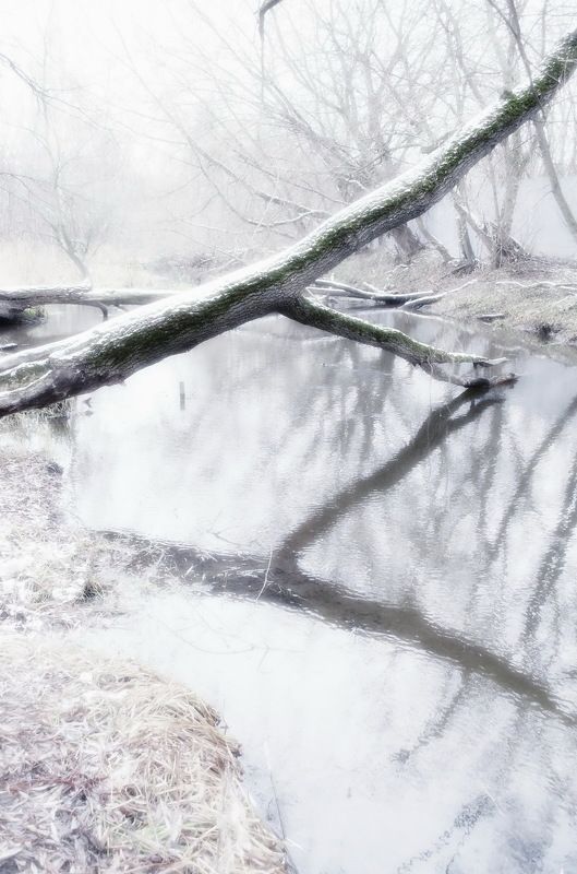 Минимализм....ноября...photo preview