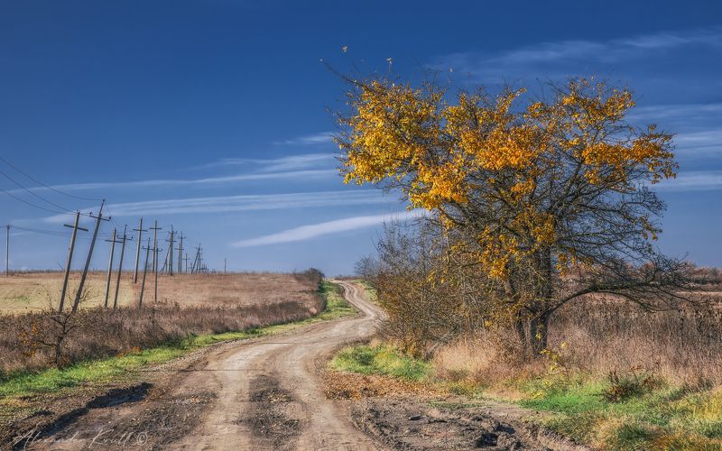 кубань, краснодарский край, дорога, поле, осень, алыча Дорогой длинною...photo preview