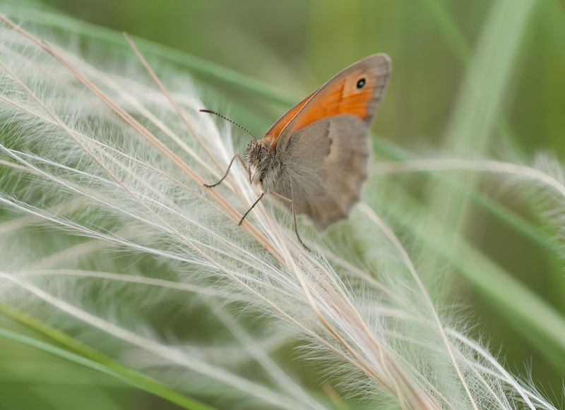 Невесомостьphoto preview