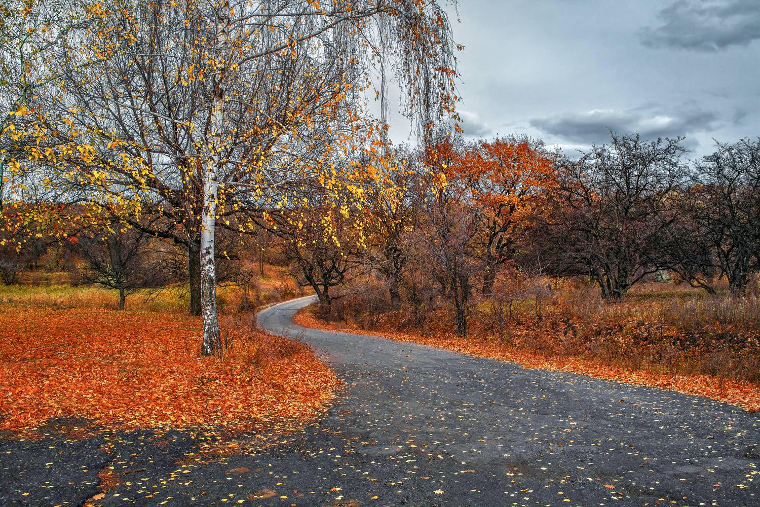 Путь к краю осени. Автор: Mihalych , Mihalych