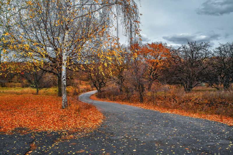 Путь к краю осениphoto preview