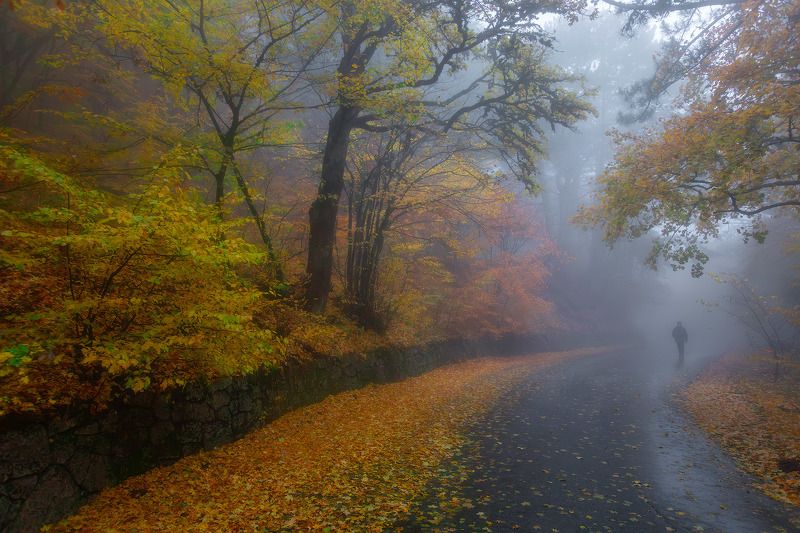 Туман на Ай-Петриphoto preview