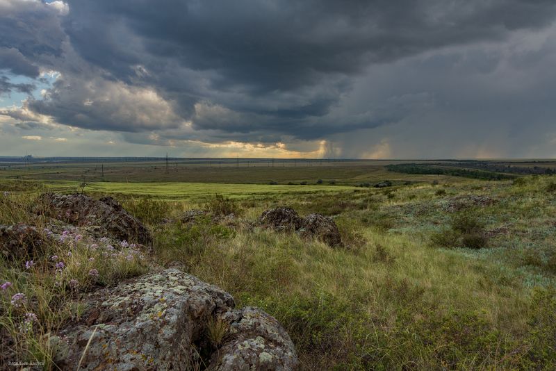 оренбургская область, природа, лето Перед грозойphoto preview