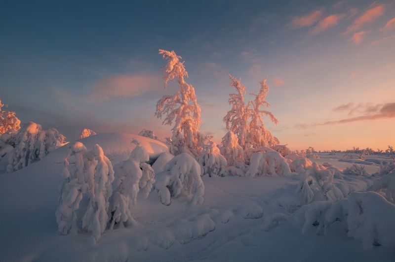 Морозная живописьphoto preview