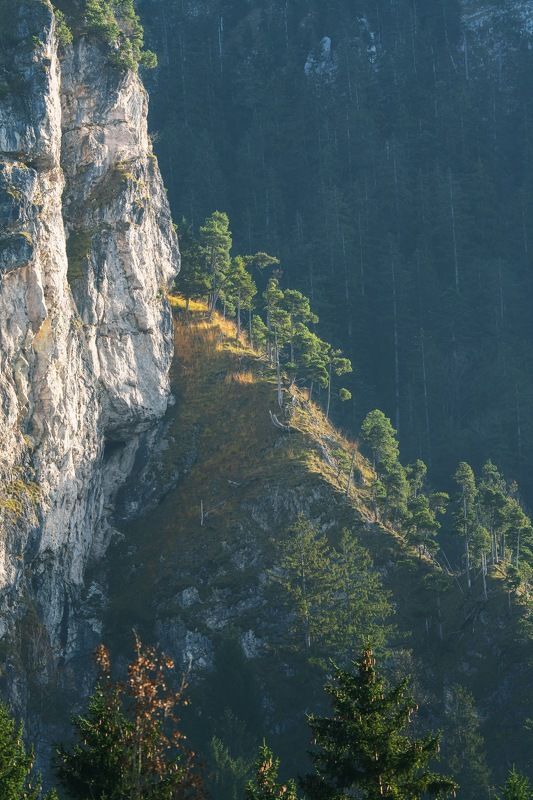 Где-то в горахphoto preview