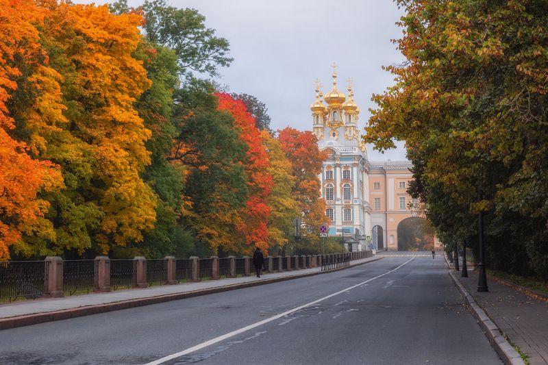 санкт-петербург, осень, утро, екатерининский парк, царское село, пейзаж, пушкин Царскосельская осеньphoto preview