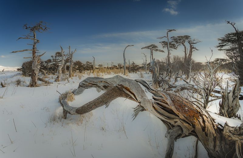 Инопланетный пейзаж острова Итурупphoto preview