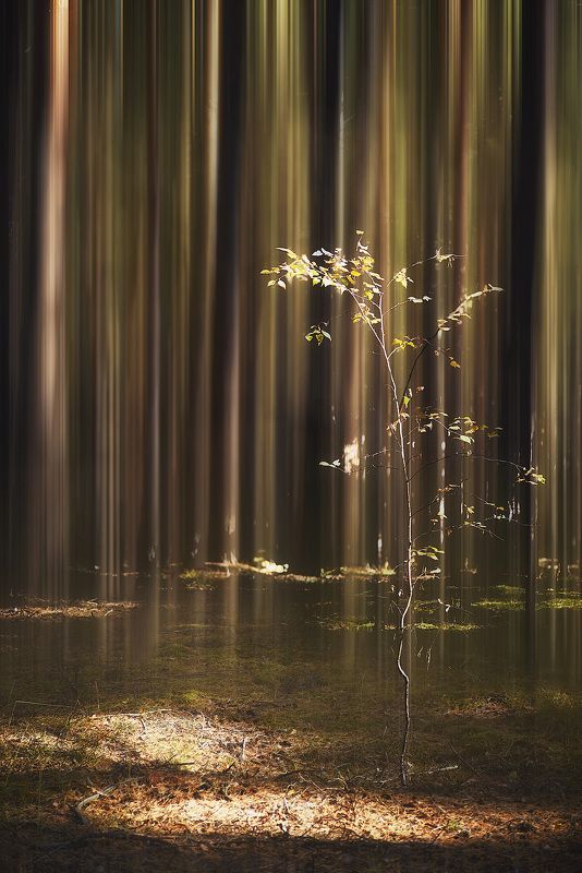 Яркий сезонphoto preview