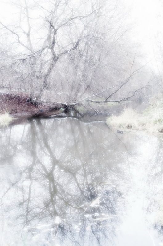 Прогулка по реке Талка...photo preview