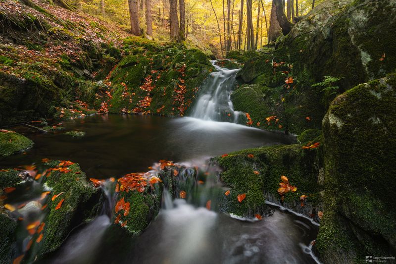 On the Streamphoto preview