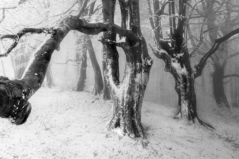 Winter moodphoto preview