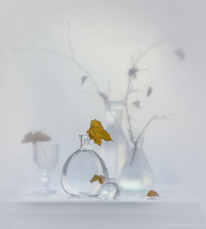 Предзимье фото превью