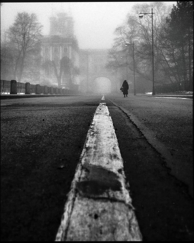 туман, утро, туманное утро, чб, черно белое, репортаж photo preview