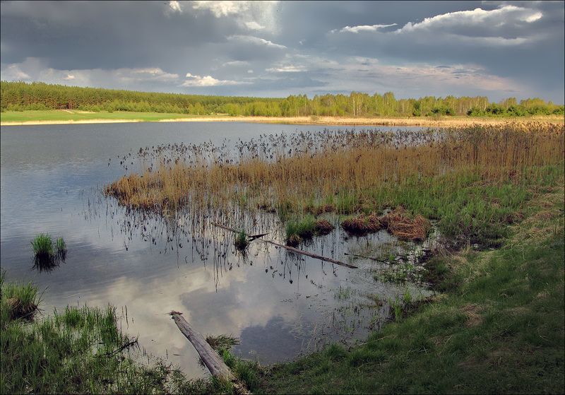 рязанщина, тимошкино, шилово по Рязанской области... фото превью