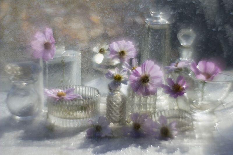 боке, цветы, натюрморт, гелиос, стекло Бокешки, цветочки, капельки фото превью