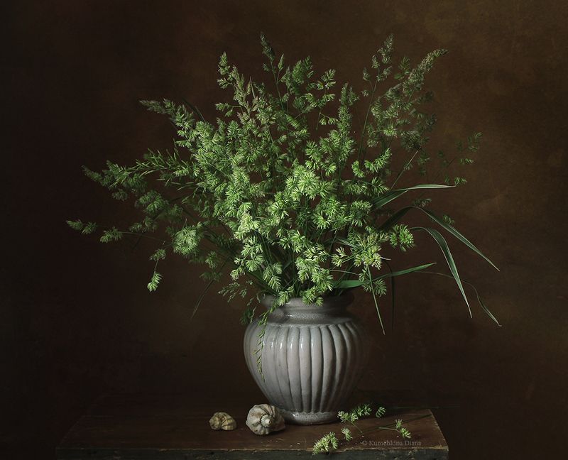 натюрморт, зеленый, злаки, июнь, лето букет июньских злаков фото превью