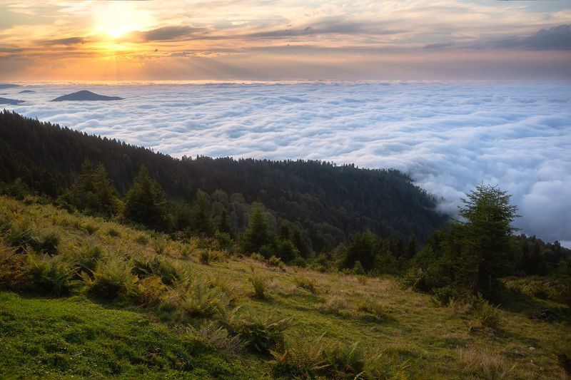 Небесная пенаphoto preview