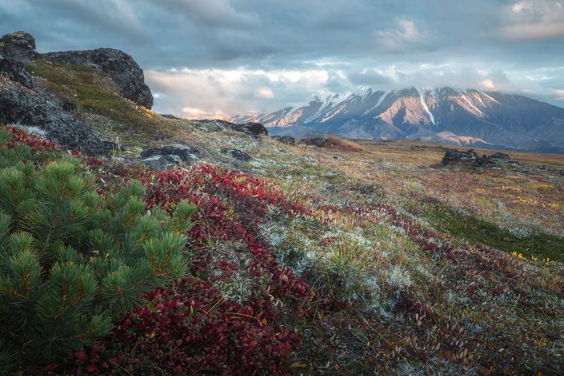 камчатка, толбачик ***photo preview